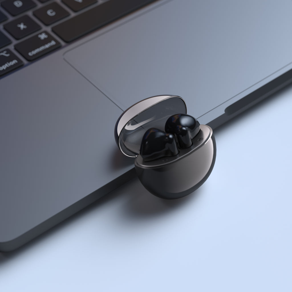 True Wireless Bluetooth Earphones - Black & White