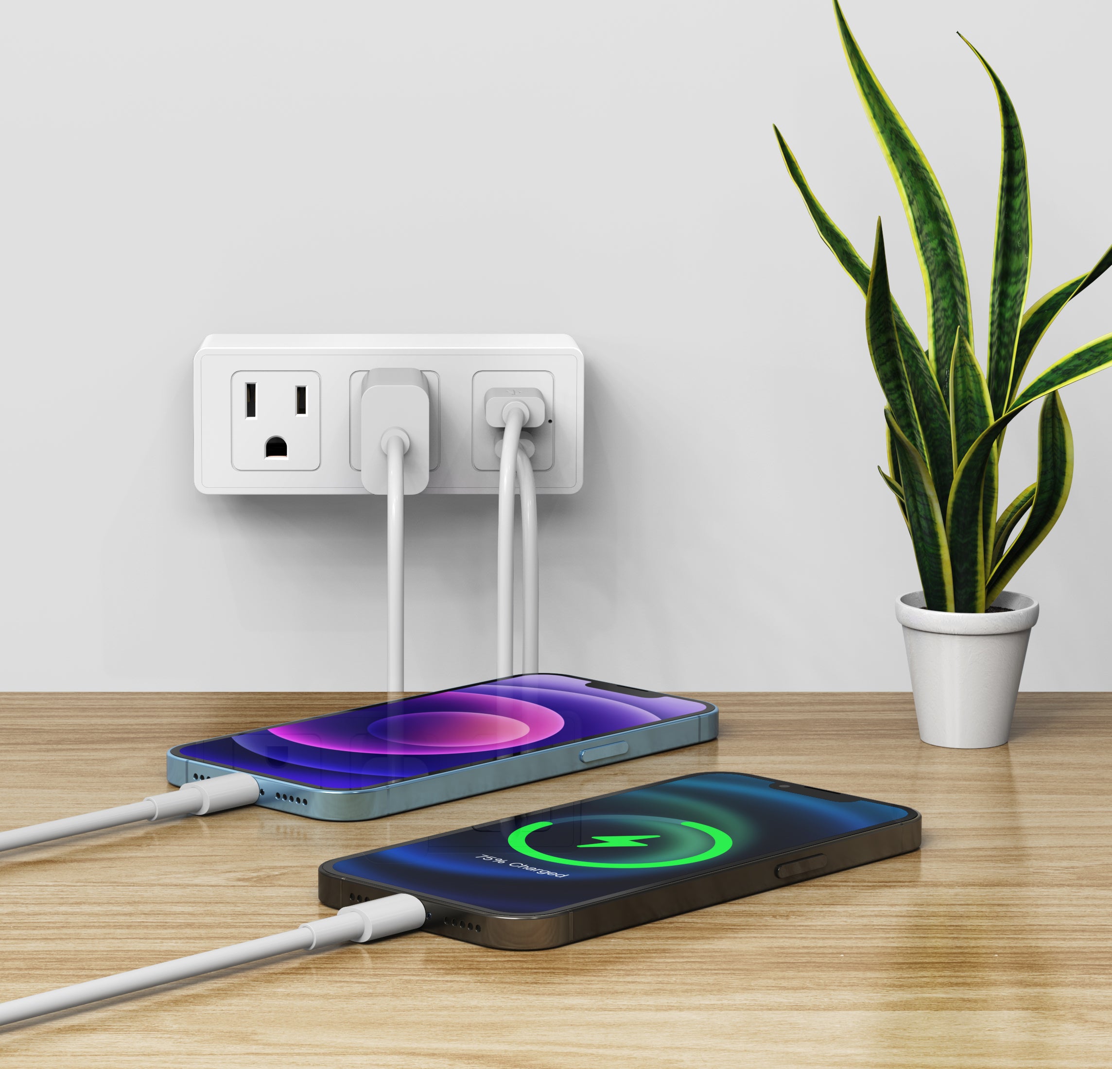 LAX Surge Protector 300j 2 Outlets and 1x USB-C Port and 1x USB-A Port