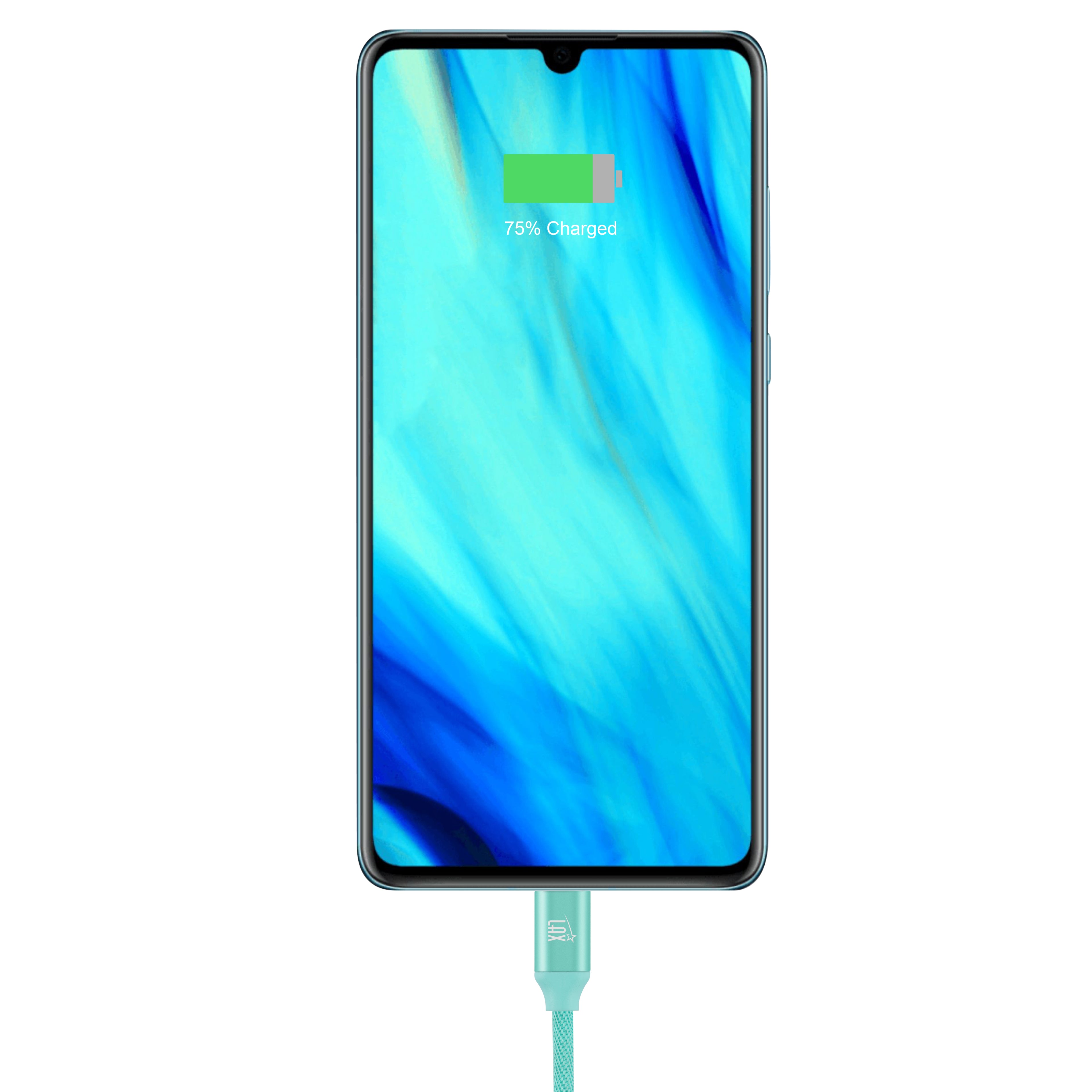 LAX USB-C to USB-A- 6FT Android Charging Cable