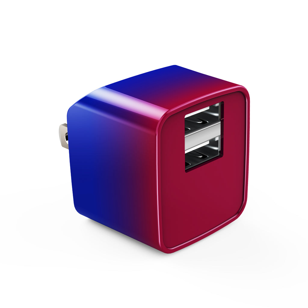 LAX 2 Port USB Wall Charger 2.4A with Apple MFi Certified Iphone Cable (6ft)