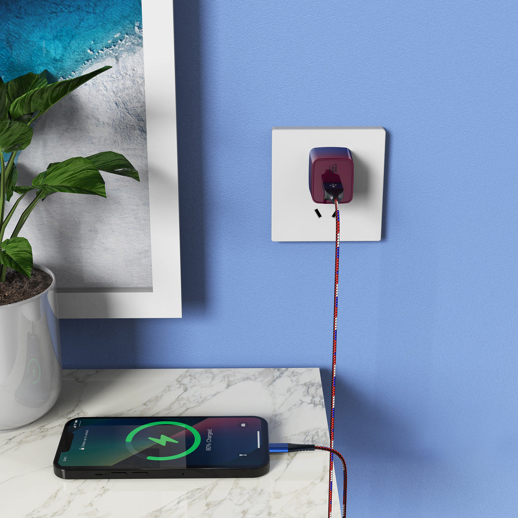 LAX 2 Port USB Wall Charger 2.4A with Apple MFi Certified Iphone Cable (6ft)