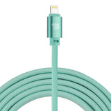 Glow in the Dark Apple MFi Certified USB to Lightning Cable (10 Feet)