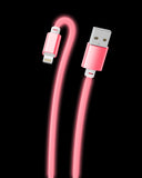 Glow in the Dark Apple MFi Certified USB to Lightning Cable (10 Feet)
