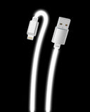 Glow in the Dark Apple MFi Certified USB to Lightning Cable (10 Feet)