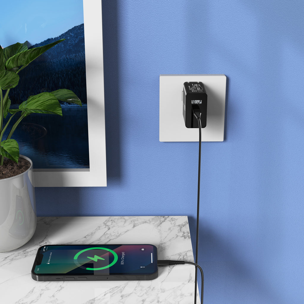 LAX 20W Fast Wall Charger with USB-C to Iphone Cable (6ft)